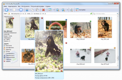 Photo Database 2.3.2.375