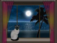 Mooncat Screensaver 1.1