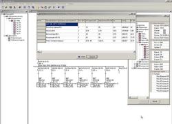 ElectricaNW 1.1.0.4 2011