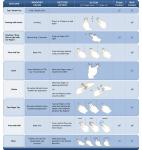 Скриншот №9